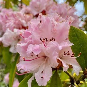 Meet your Posher, Marta